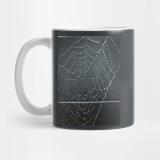 Spider Web Mug